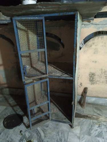 cage for sale price difrent ha lany wala rabta kry whatsp ase number p