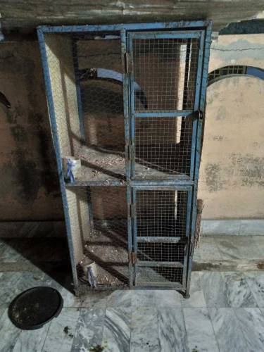 cage for sale price difrent ha lany wala rabta kry whatsp ase number p