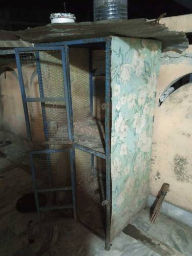 cage for sale price difrent ha lany wala rabta kry whatsp ase number p