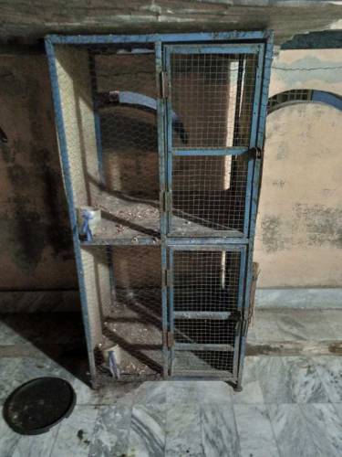 cage for sale price difrent ha lany wala rabta kry whatsp ase number p