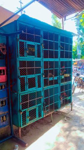 cage for sale price difrent ha lany wala rabta kry whatsp ase number p