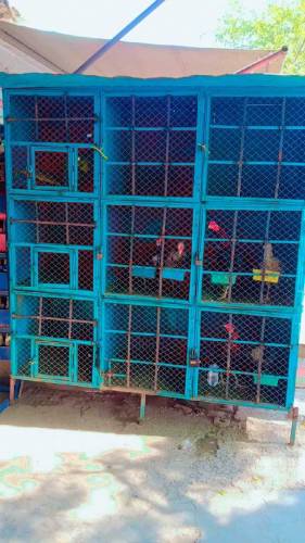 cage for sale price difrent ha lany wala rabta kry whatsp ase number p