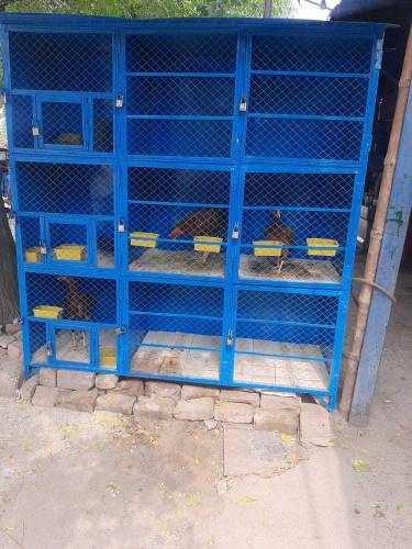 cage for sale price difrent ha lany wala rabta kry whatsp ase number p