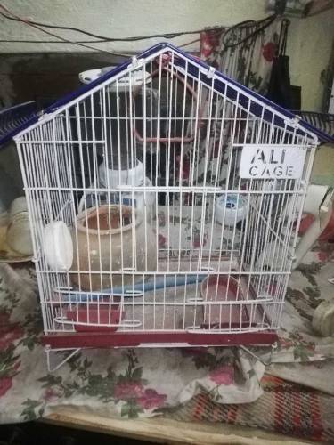 original lohy ka cage new cage for sale 