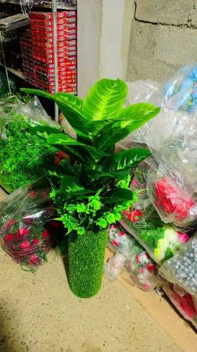 home decoration 
