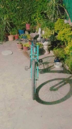 Morgan cycle