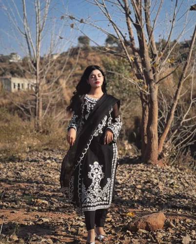 3pcs stitched embroidery organza suit