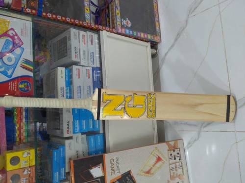 cricket bat