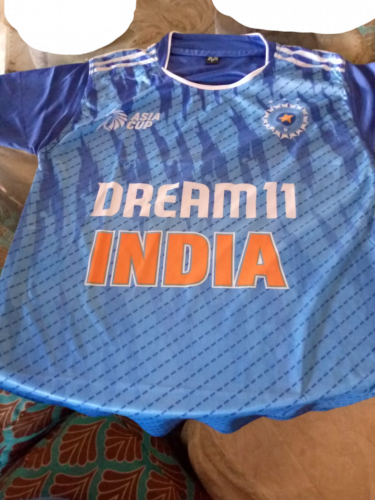 India ASIA cup 2023 jersey
