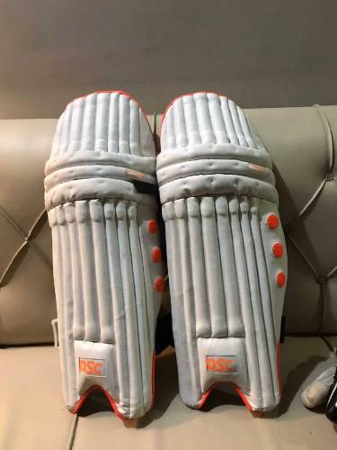 Cricket Pads, Typaid and Gloves 