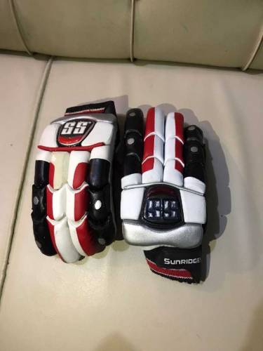 Cricket Pads, Typaid and Gloves 