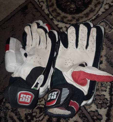 Cricket Pads, Typaid and Gloves 