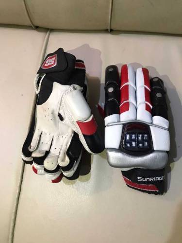 Cricket Pads, Typaid and Gloves 