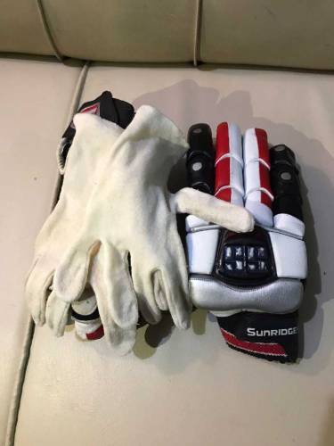 Cricket Pads, Typaid and Gloves 