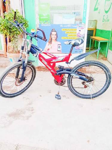 Sport Cycle 