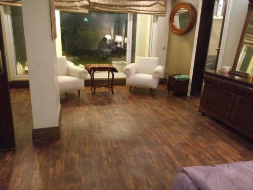 PVC Vinyl Flooring home decor 