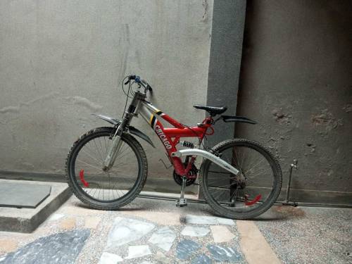 Full size Imported Chicago double shocker cycle. . .