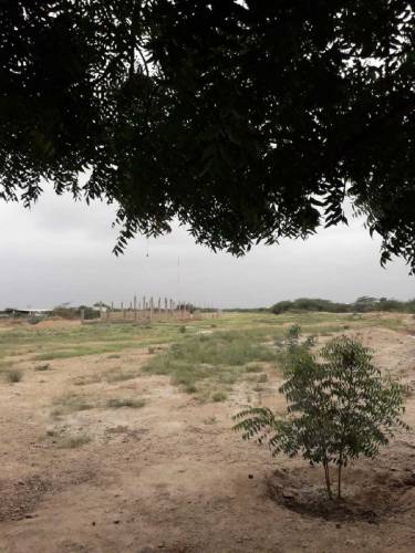 Al Khaleej FarmLand for Sale (Urgent)