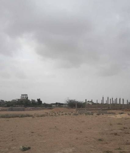 Al Khaleej FarmLand for Sale (Urgent)