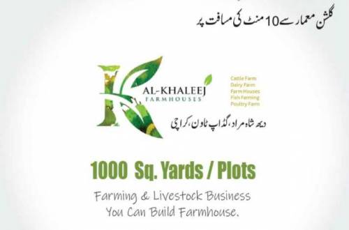 Al Khaleej FarmLand for Sale (Urgent)