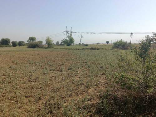 Open land for sale