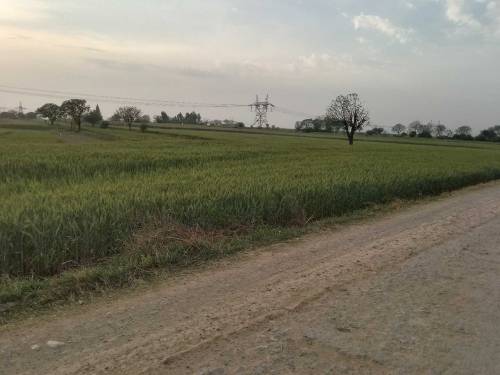 Open land for sale