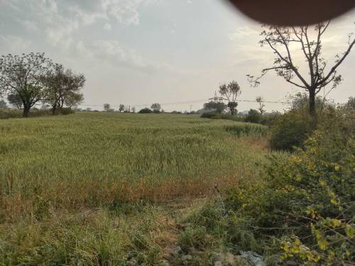 Open land for sale