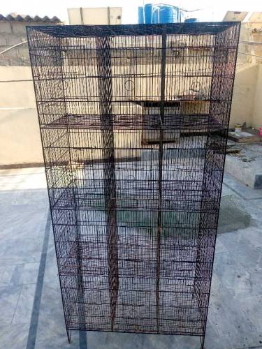 12 Portions Birds Cage For Sale