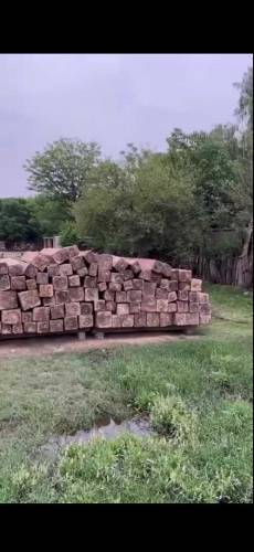 High quality Nander wood of Naran for sale 