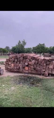 High quality Nander wood of Naran for sale 