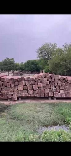 High quality Nander wood of Naran for sale 