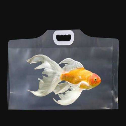 polythene pouches