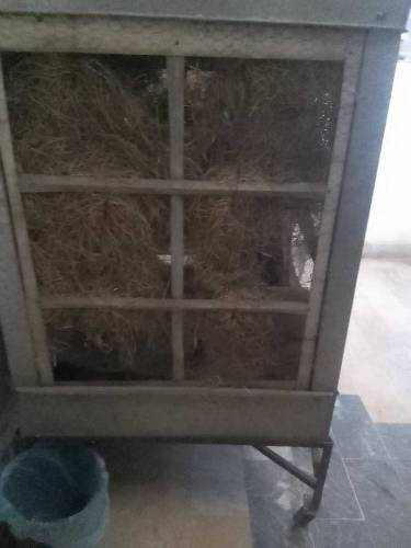 best quality cooler