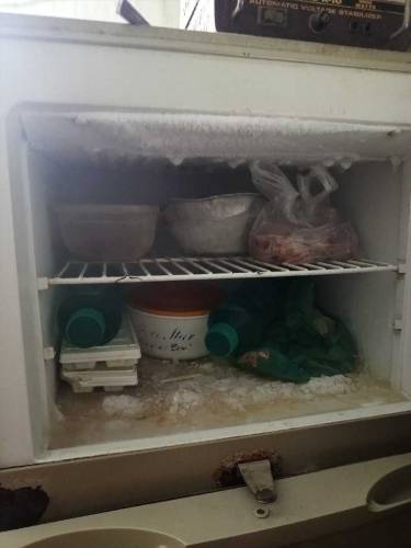 haier refrigerator