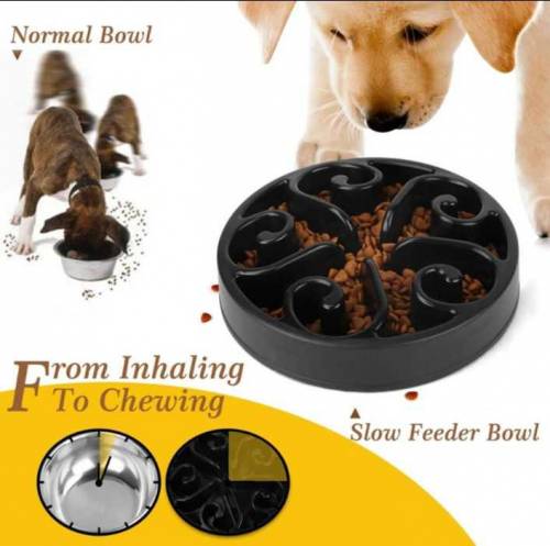 Dog Feeding Bowl