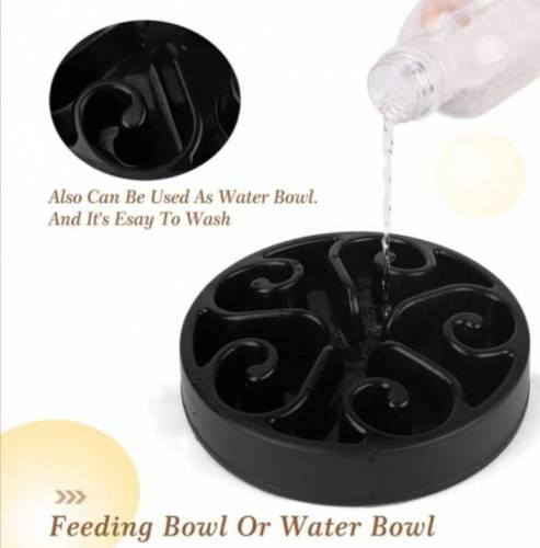 Dog Feeding Bowl