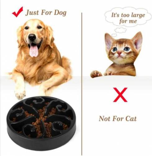 Dog Feeding Bowl