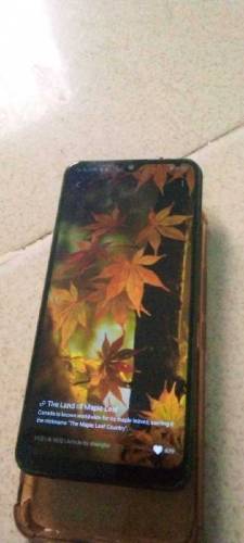 VIVO Y 11