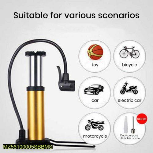 Air pump 