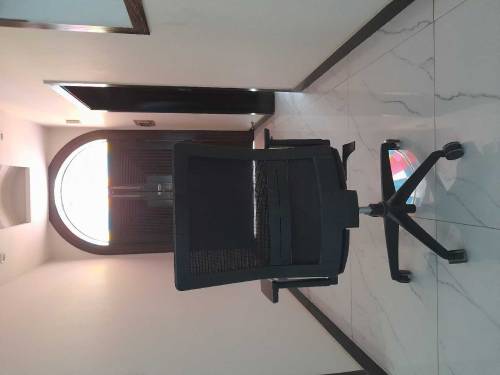 Executive chair, Adjustable office chair, Black colour