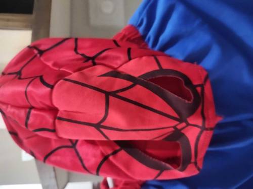Spiderman dress