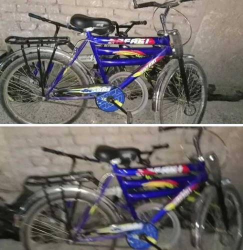 Safari Cycle