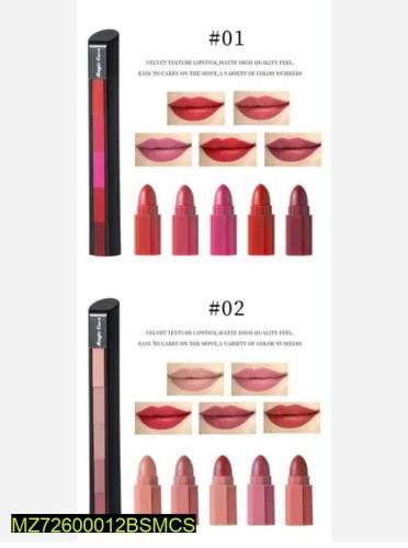 5 in 1 lipstick pen 