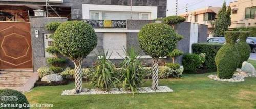 garden nursery and landscaping 