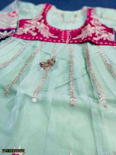 2 Pics Women's Stitched  Fancy organza Emboridered Maxi