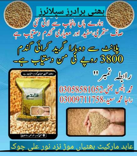 White Wheat 