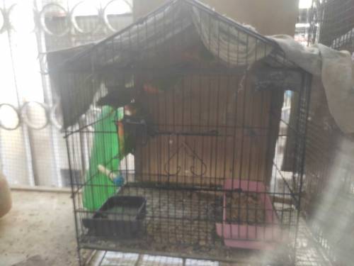 fisher 5 piece without cage