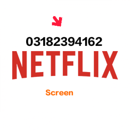 Netflix Sreen