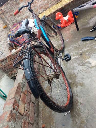 cycle