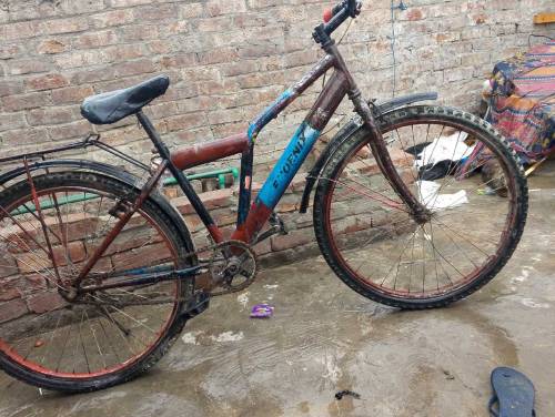 cycle